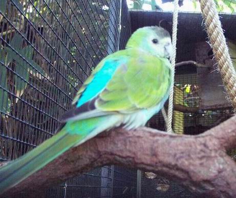 Resize of Resize of Tenerife30084.jpg