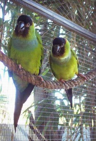 Resize of Resize of Tenerife30149.jpg