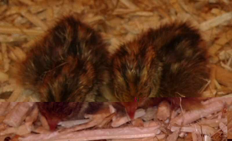 2011-11-24 15.29.471.jpg