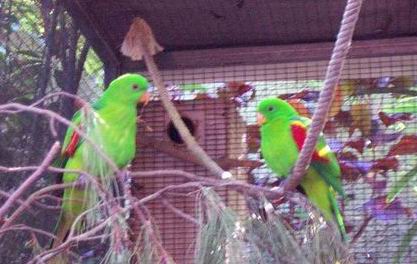 Resize of Tenerife30155.jpg