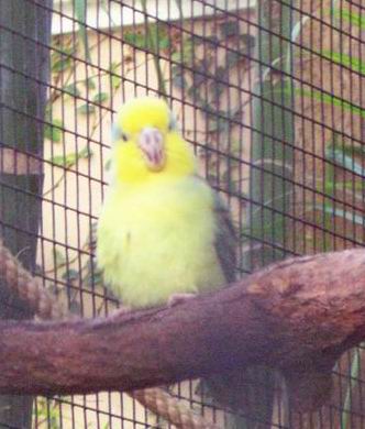 Resize of Tenerife30143.jpg