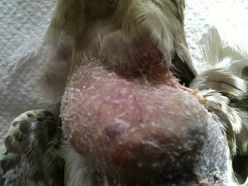 IMG_1084 rÃ©duite.jpg