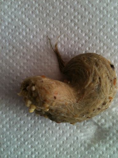 IMG_1085 rÃ©duite.jpg