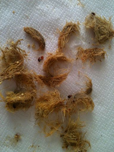 IMG_1089 rÃ©duite.jpg