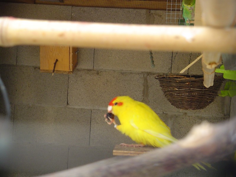 la base court 002 (Copier).jpg