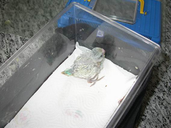 Resize of 2004-04-29_0001.JPG