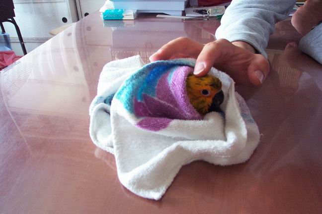 Resize of 11-10-20020009.jpg