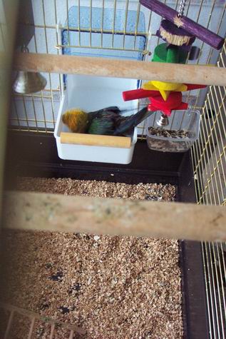 Resize of 11-10-20020002.jpg