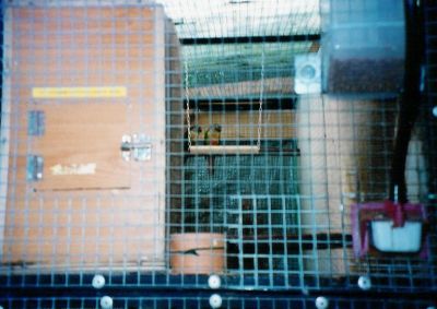 haut de voliere'2X0,70X2 m.jpg