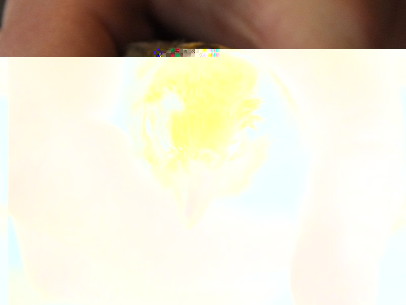 DSCF1112 (Copier).jpg