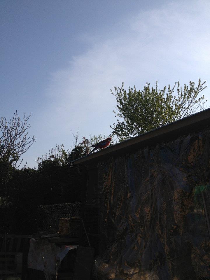 Ã§a m enerve!!.jpg