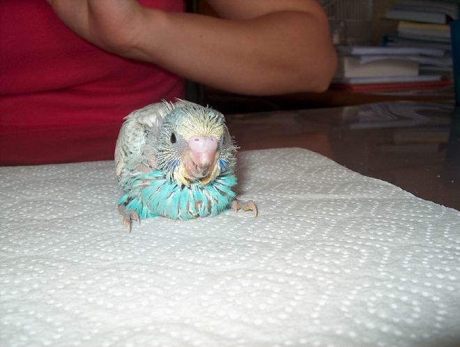 Resize of 02-05-04-30017.jpg