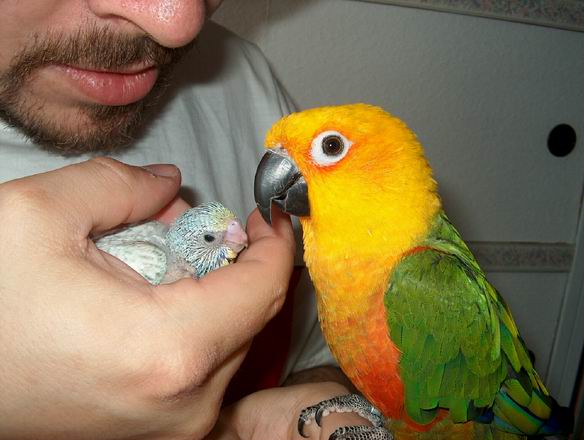 Resize of 02-05-04-10013.jpg