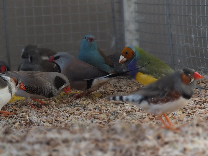 DSCF4570 (Copier).jpg