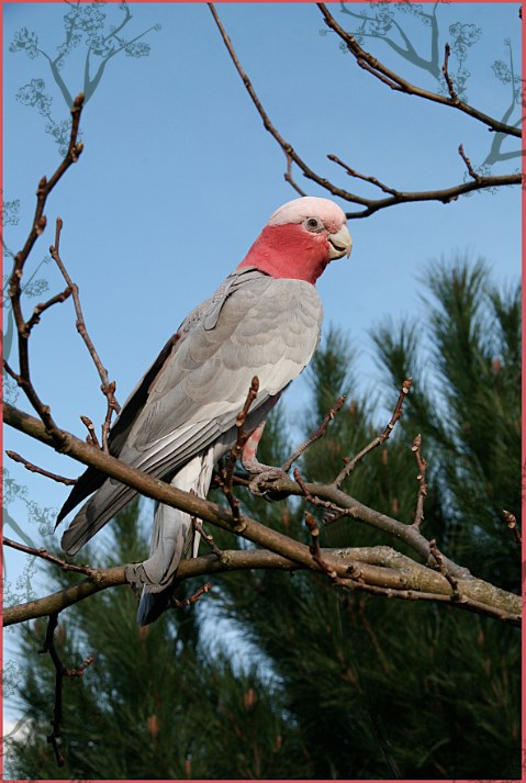 Capture dâ€™Ã©cran 2012-04-07 Ã  20.47.14.jpg