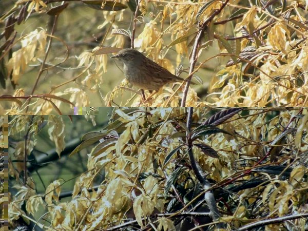 DSCF0719 (Copier).jpg