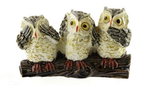 Oiseaux Chouettes de la sagesse.JPG