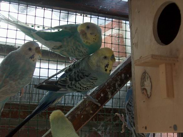 Resize of 17-05-04-0011.jpg