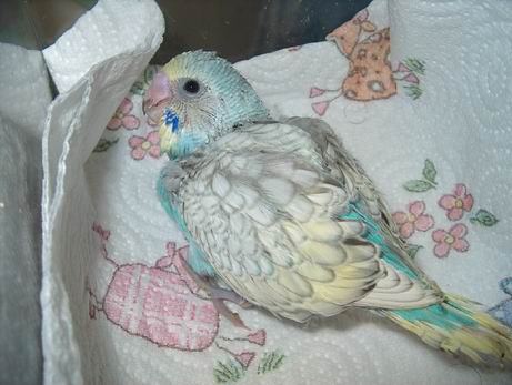 Resize of 05-05-040056.jpg