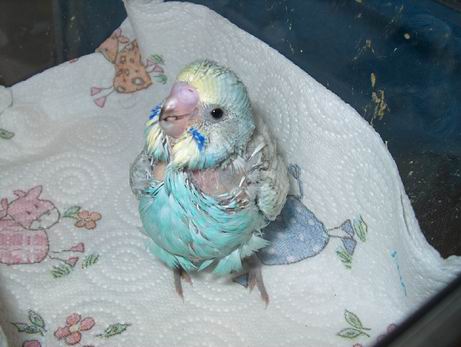 Resize of 05-05-040050.jpg