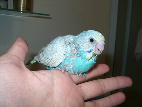 Resize of 05-05-040032.jpg