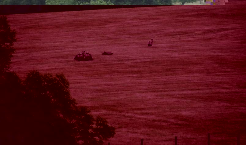 VAUTOURS - Le repas.JPG