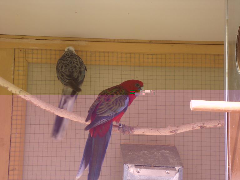 COUPLE DE PENANTS 01(small)02.JPG