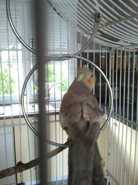 2012-05-12 20.28.18.jpg