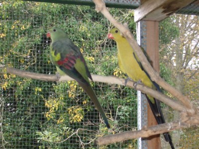 couple mÃ©lanure [].jpg