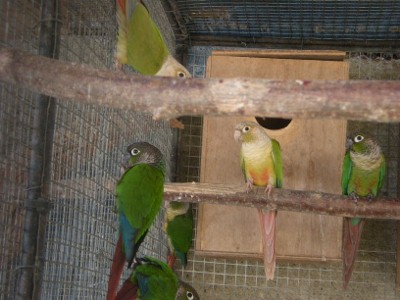 DSCN1119 (400x300).jpg