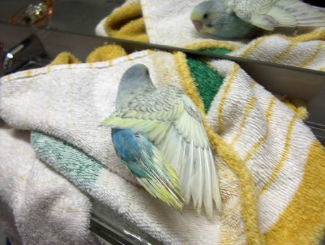 Resize of 10-05-04-10018.jpg