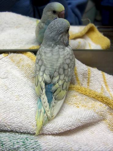 Resize of 10-05-04-10017.jpg