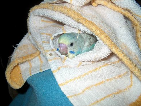 Resize of 10-05-04-10001.jpg