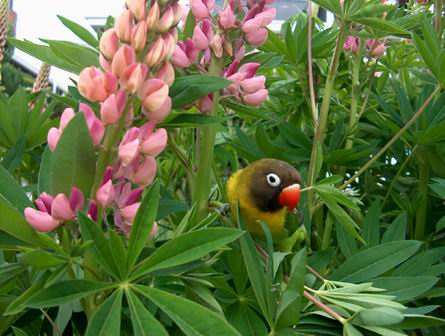 Resize of 20-05-04-10039.jpg