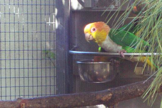 Resize of Tenerife30145.jpg