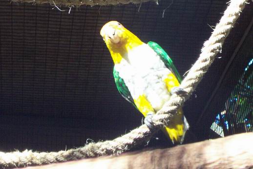 Resize of Tenerife30147.jpg