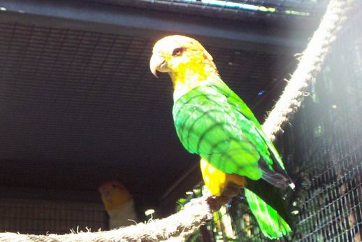 Resize of Tenerife30146.jpg