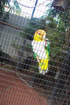 Resize of Resize of Tenerife30391.jpg