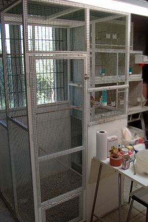 Resize of Rotation of EPSN0098-5.jpg