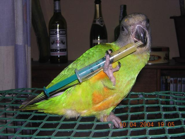 thanos et la seringue.JPG