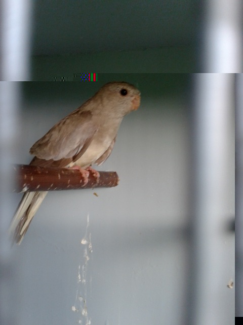 2012-11-05 09.15.01.jpg