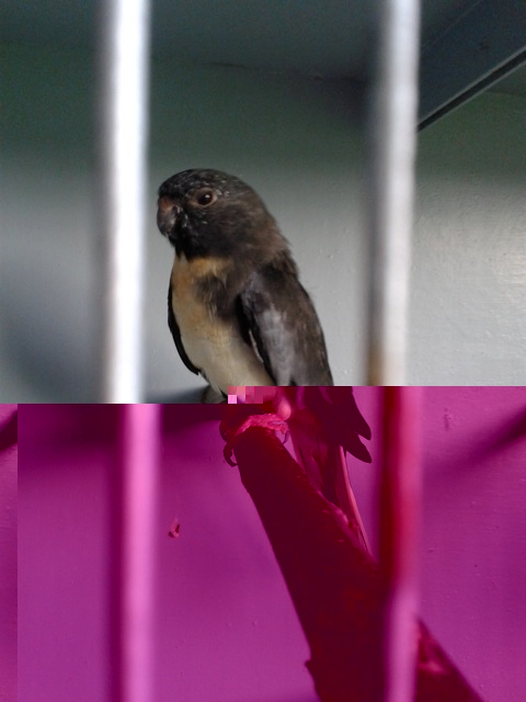 2012-11-05 09.15.42.jpg