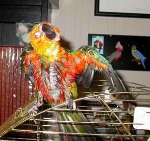 Resize of Resize of 2004-05-16_0005.JPG