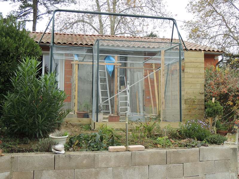 devant piscine (Copier).jpg