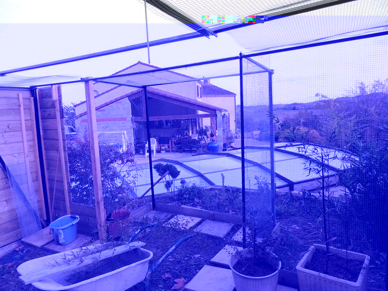 iÃ§nterieur (Copier).jpg