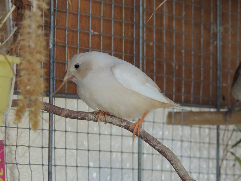 DSCN3445 (Copier).jpg