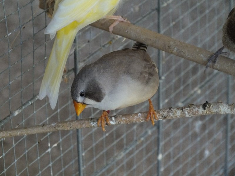 DSCF0668 (Copier).jpg