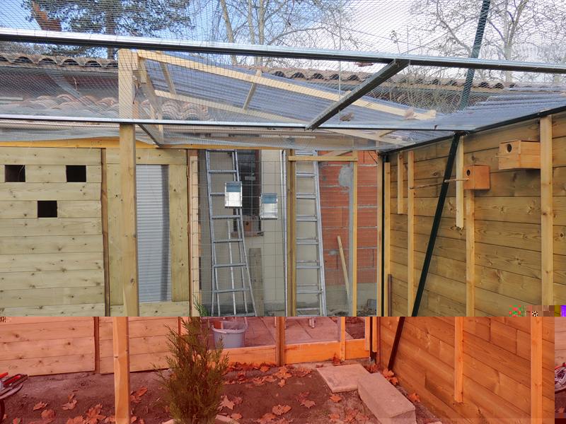 DSCN3942 (Copier).jpg