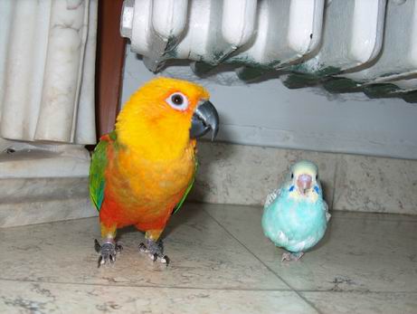 Resize of 11-05-04-00010.jpg