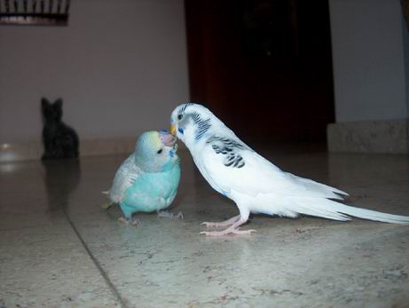 Resize of 11-05-04-00001.jpg